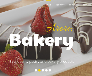 Wordpress website