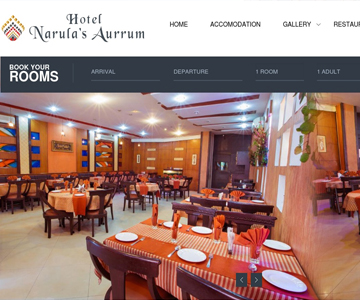 Wordpress website