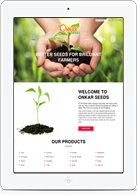 Website Designing in Amritsar, Punjab